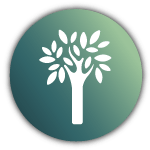 Icon_Baumpflege_Baum Grünes Icon mit weißem Baum Symbol